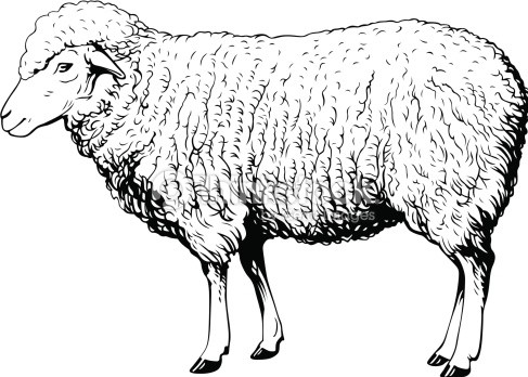 masonic-lamb-12