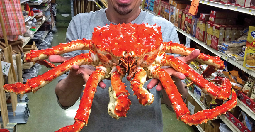 Alaskan King Crab